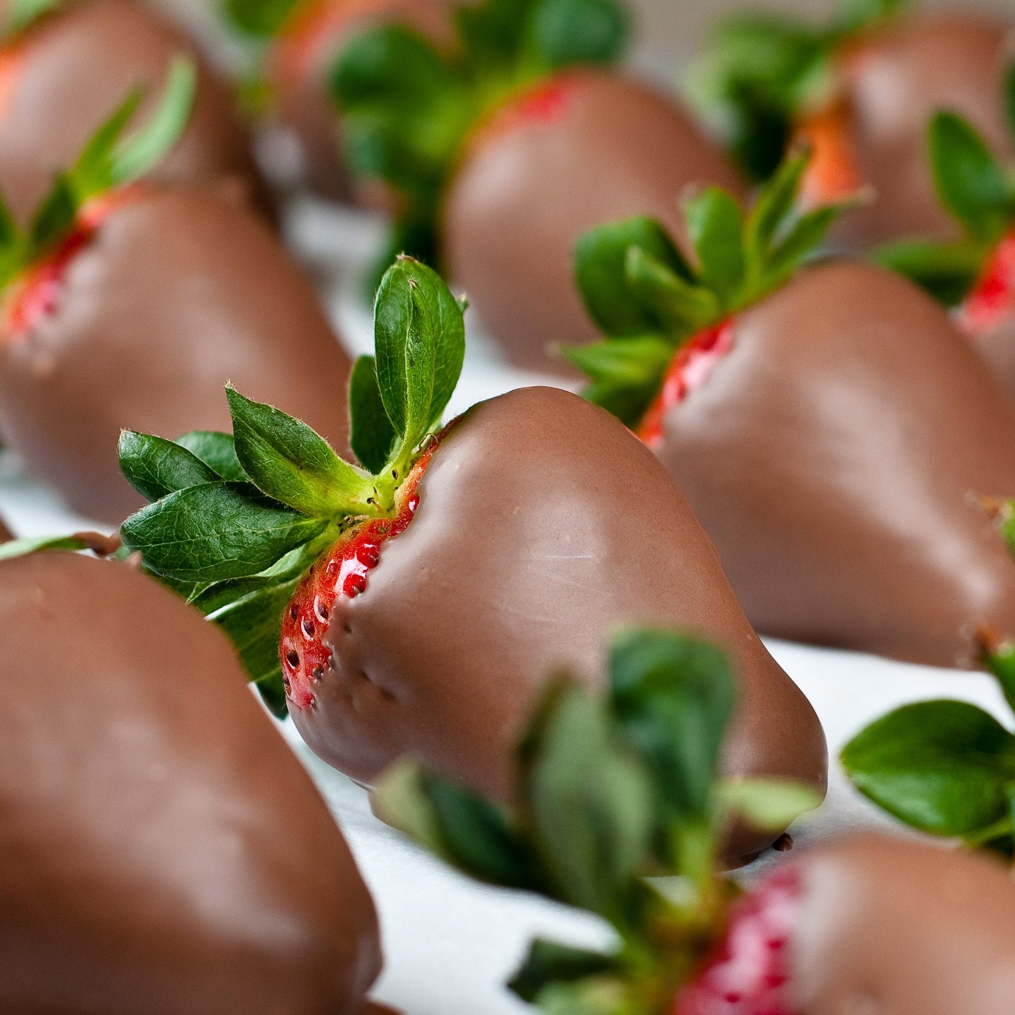 Chocolate-Dipped Strawberries - 6