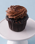 Mini Fudge Cupcakes - 12
