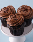 Mini Fudge Cupcakes - 12