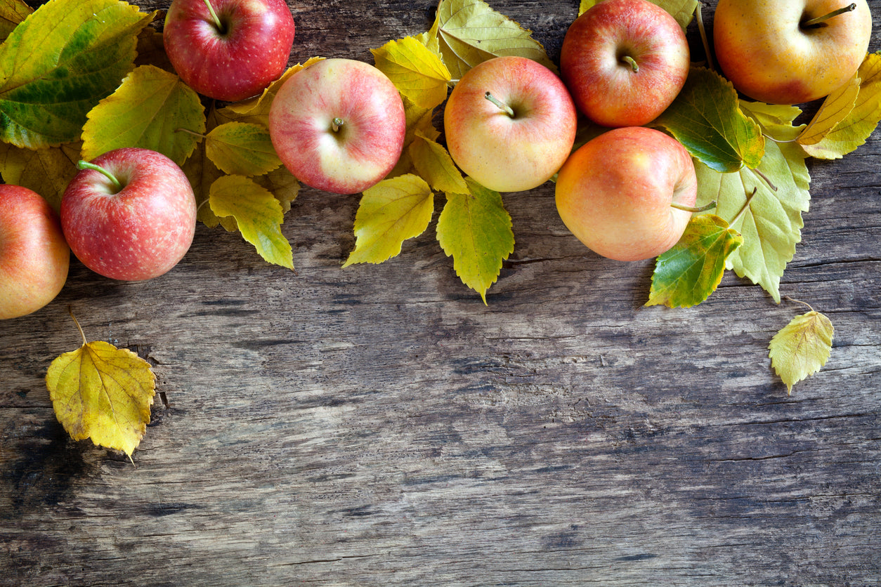 Rosh Hashanah & Yom Kippur